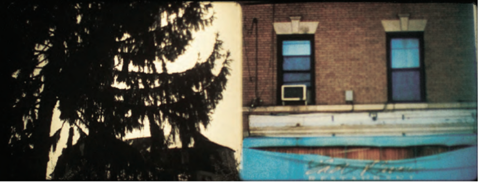 Shadow of tree branches, and a building with a pool 