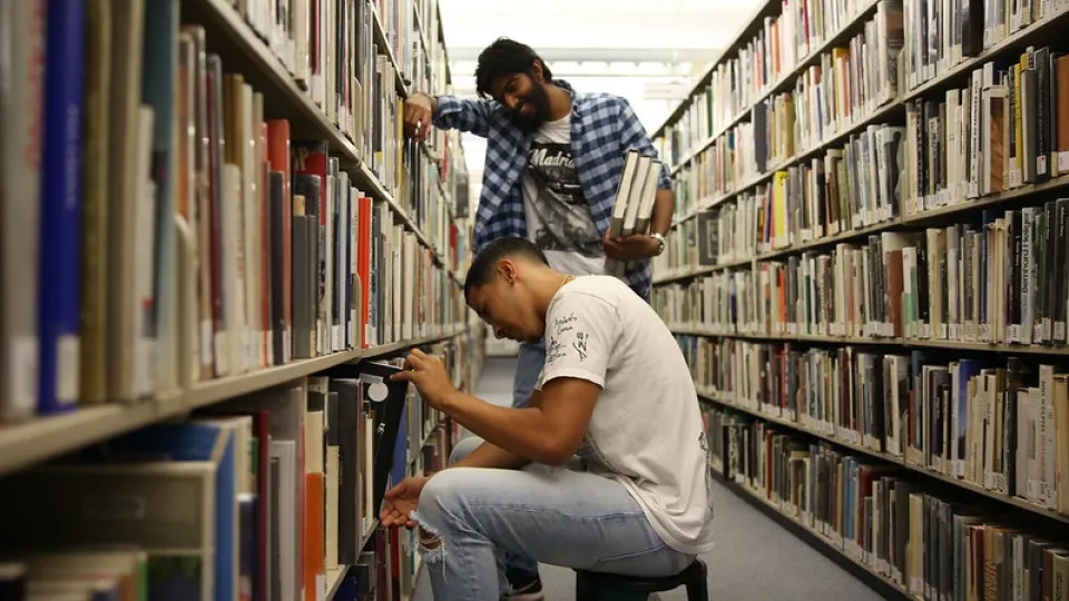 Library bookshelves