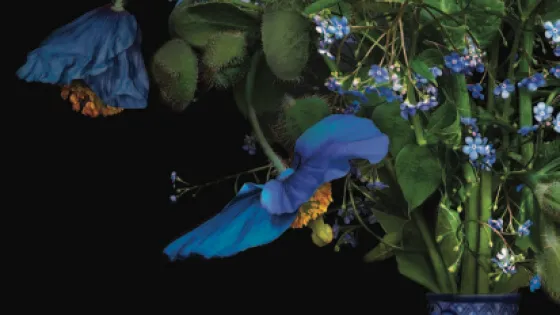 T.M. Glass: The Audible Language of Flowers, May 8 to August 18, 2019