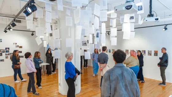 Gallery space with paper hanging from the ceiling