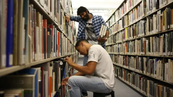 Library bookshelves