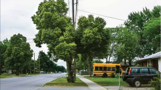 a suburban street with a small yellow bus in a driveway