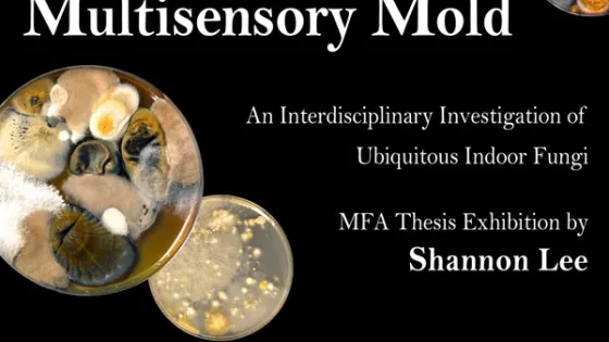 Poster for Multisensory Mold Exhibition