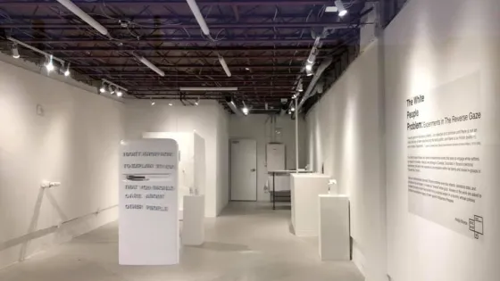 Image of The White people Problem installation gallery