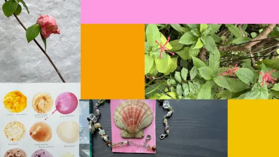 image is a digitial collage of plant, flowers and natural pigment samples of pink, yellow and ochres, with colour blocks of solid pink, green, and orange