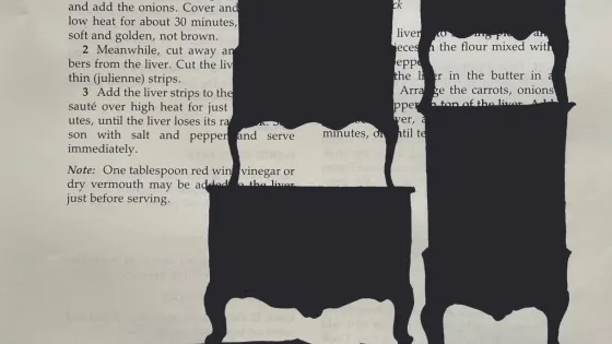 mage is a page from a recipe book with silhouettes of furniture obscuring the recipe.