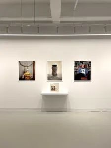 images hanging on gallery wall