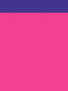 A square with hot pink background and purple banner bar at the top