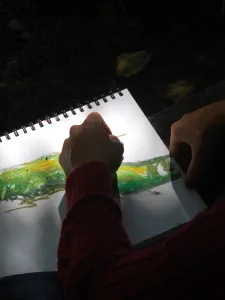 A student drawing in nature