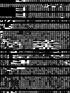 A black and white digital glitch composition featuring dense layers of randomly arranged numbers, Chinese characters, symbols, and distorted text blocks. The chaotic arrangement creates a fragmented, glitchy visual effect, evoking themes of digital noise, data corruption, and textual disintegration.