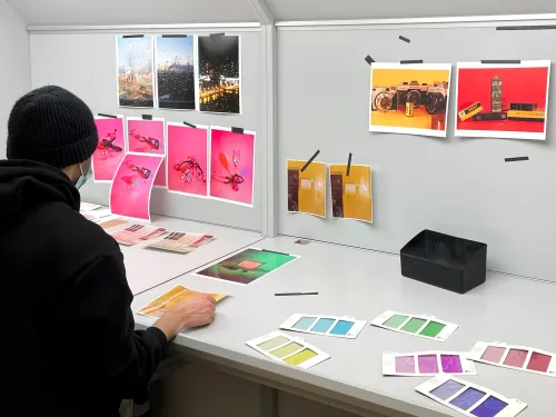 a student sorting through various photographs