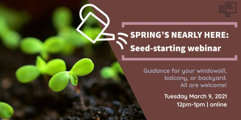 SPRING'S NEARLY HERE: Seed-saving webinar. Guidance for your windowsill, balcony, or backyard. All are welcome! Tuesday March 9, 2021. 12pm-1pm online. Image of green seedlings pushing up through the soil.