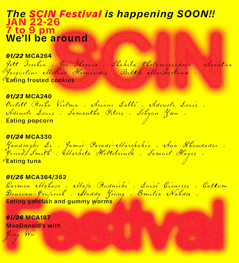 The SCIN Festival poster