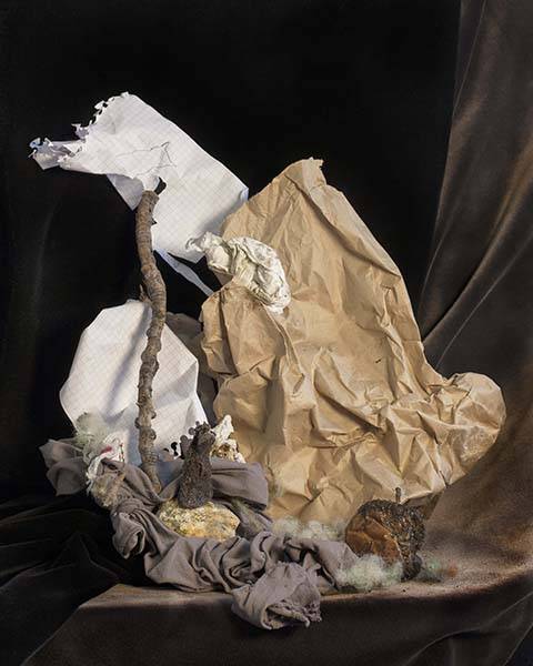  Provenance Unknown, 2018 by April Hickox (Chromogenic print; Varied edition of 5; 29”x25”)