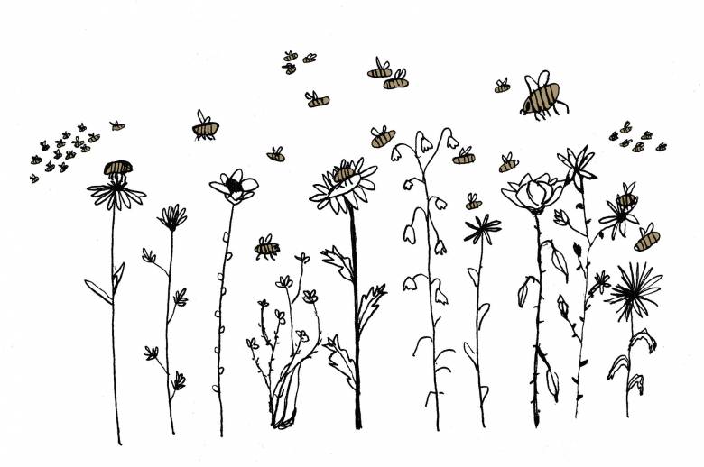 Illustration of flowers wth pollinators buzzing around