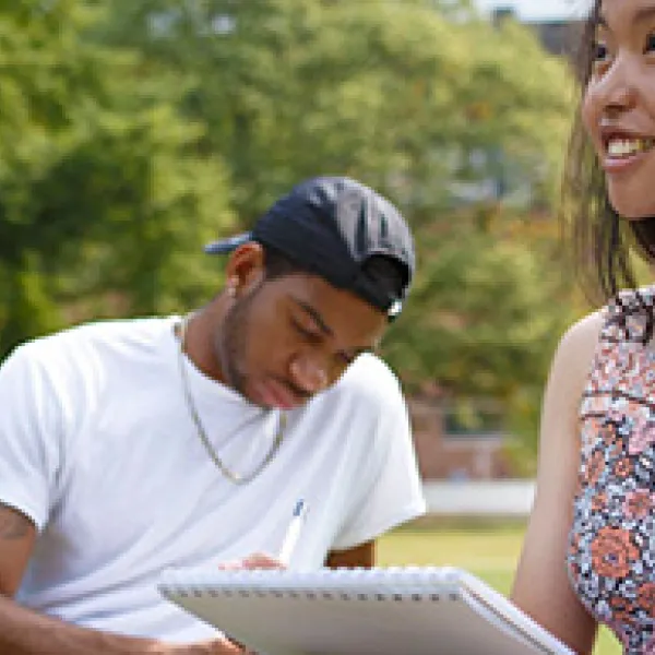 Students working in a park