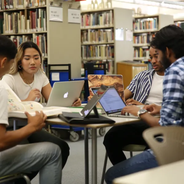 Students working in the library